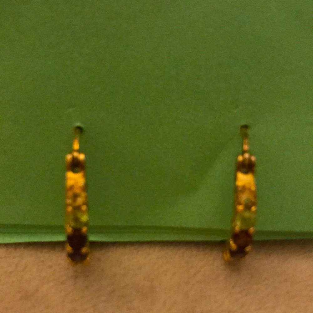 Rhinestone Hoop Earrings